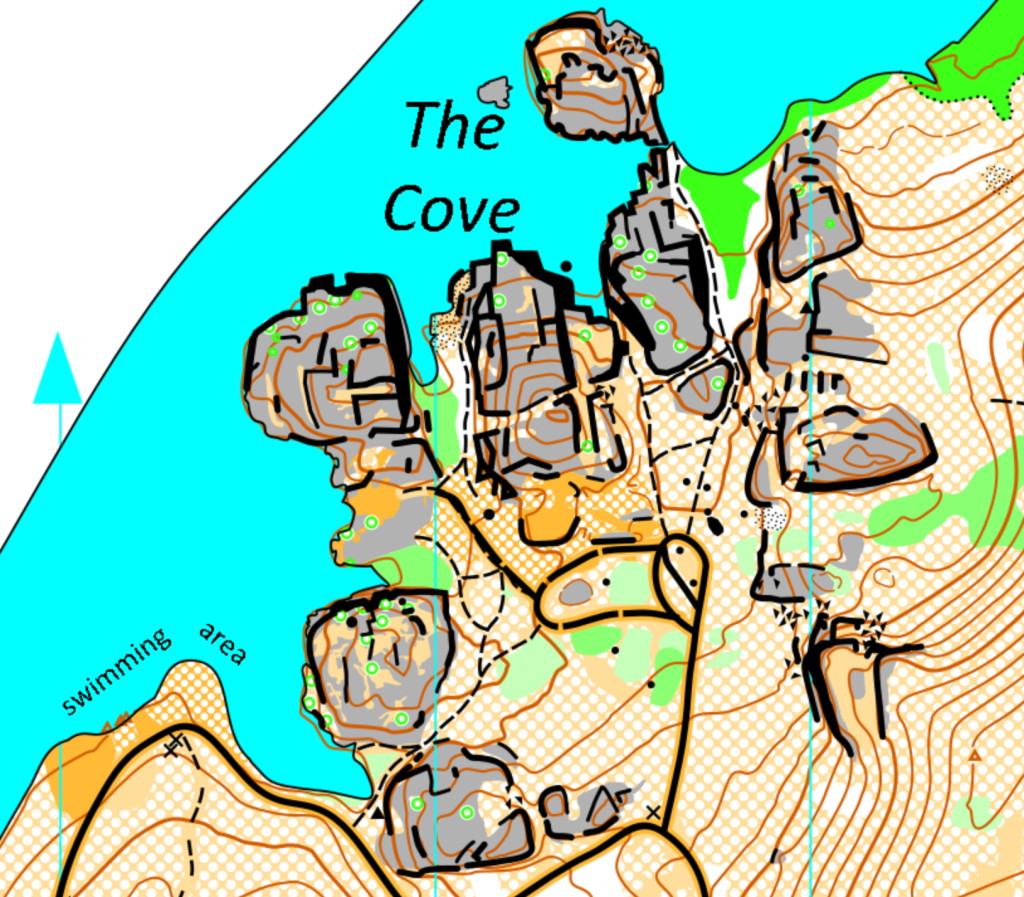 Fisk Model